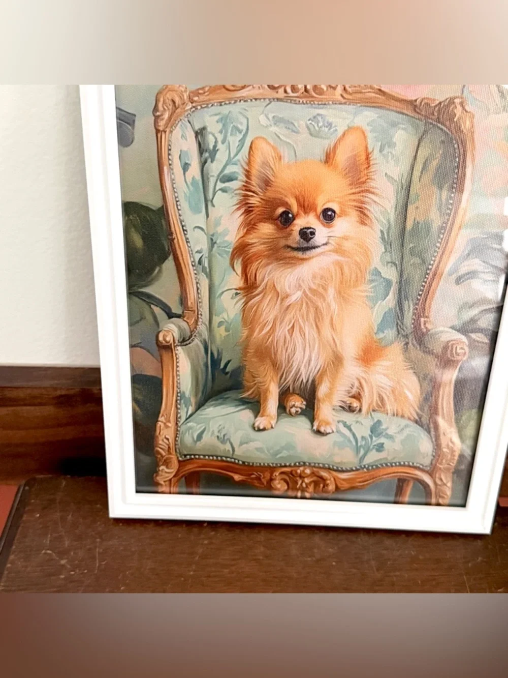 N/A fancy pomeranian